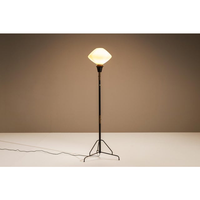 Mid-Century Modern Floor Lamp with Opaline Glass Shade from Stilnovo, Italy, 1950s For Sale - Image 3 of 10