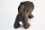 Bernard Langlais Terracotta Lion For Sale - Image 11 of 13