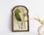 Antique Dutch Scalloped Beveled Mirror For Sale - Image 11 of 11