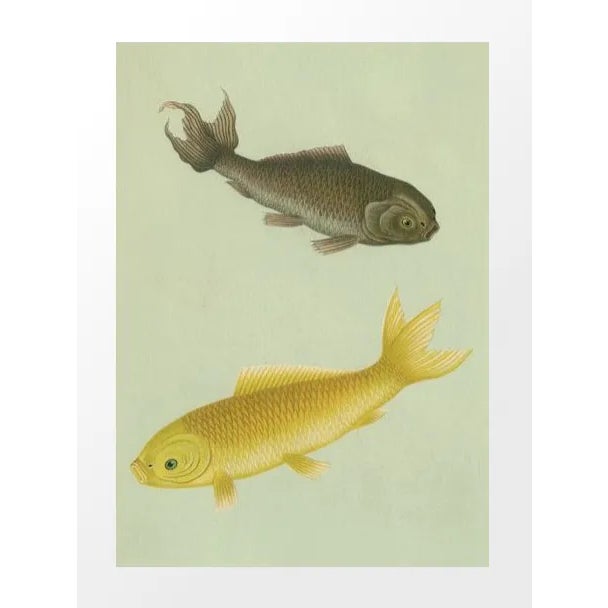 Vintage German Bookplate Print - Fish For Sale