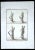 Ancient roman statues, from the series "antiquities of herculaneum", is an original etching on paper realized by francesco...