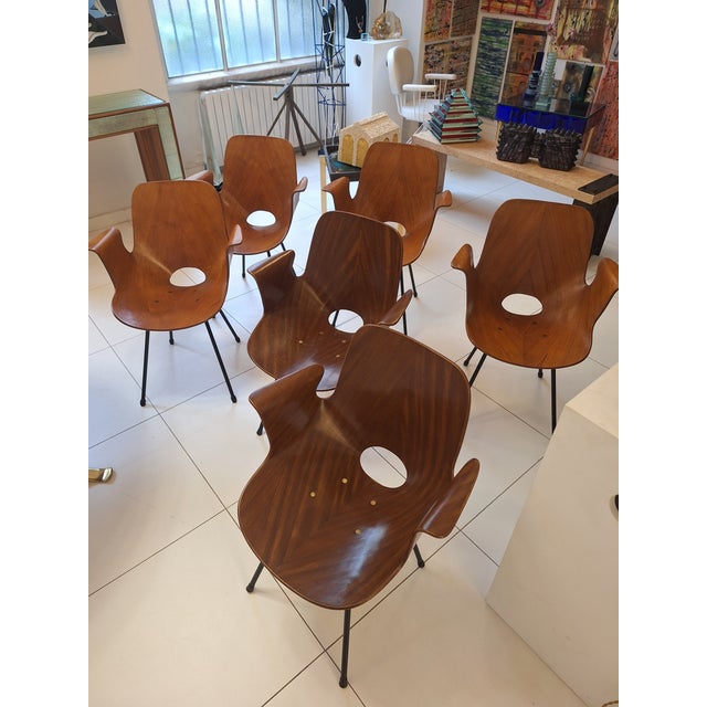 Model Medea 102 Chairs by Vittorio Nobili for Medea, 1950s, Set of 6 For Sale - Image 4 of 6