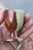 Tanzanian Green Onyx Rosolio Tray with Bottle and Glasses, Italy, 1950s, Set of 8 For Sale - Image 13 of 15