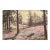 Heather and Pine – Sussex, England, 1896 For Sale