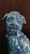 Foo Dog-Shaped Bookends in Turquoise Glazed Ceramic, 1970s, Set of 2 For Sale - Image 4 of 11