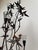 Vintage Wrought Iron Botanical Floor Candelabra For Sale - Image 15 of 18