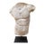Gaddi's Torso, Plaster Bust, Copy in Scale 1/1 For Sale