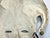 Mexican Papier Mache Payaso Jester Mask signed Orozco c. 1950s For Sale - Image 10 of 10