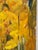 KJ Steinlöf, Trees, 1973, Oil on Canvas, Framed For Sale - Image 4 of 18