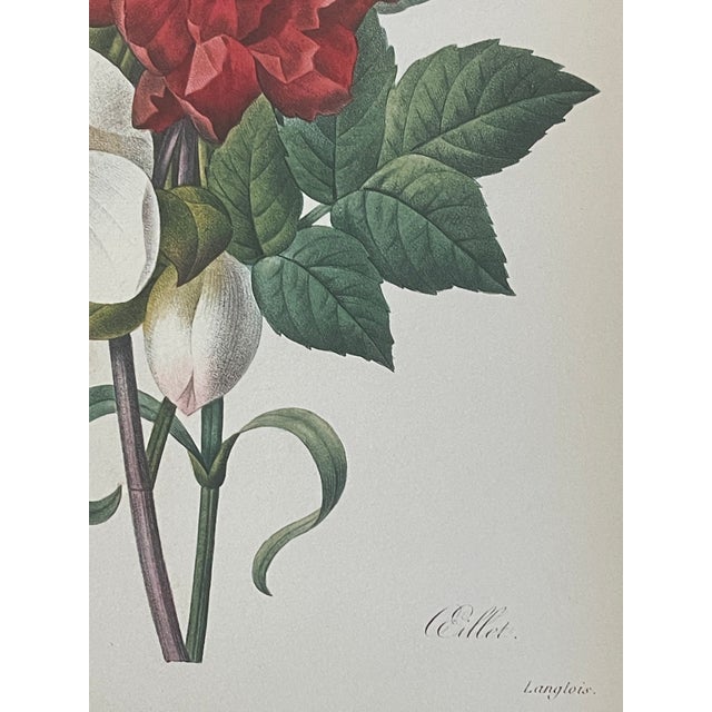 Shabby Chic Vintage Floral Chromolithograph in Gold Frame Reproduction For Sale - Image 3 of 5