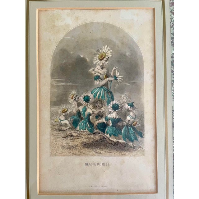 Mid 19th Century “Les Fleurs Animées” Original Hand-Painted Antique French Lithographs 1846, Set of 6, Framed For Sale - Image 11 of 12