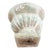 Antique French Cast Stone Planter For Sale - Image 4 of 4