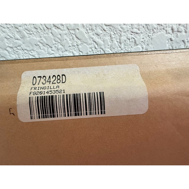 Ethan Allen Antique Bird Print: Fringilla For Sale In Denver - Image 6 of 7