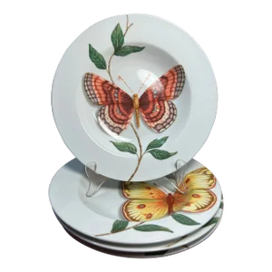 Set of 4 Butterfly Pattern Soup Bowls by Queen’s Porcelain