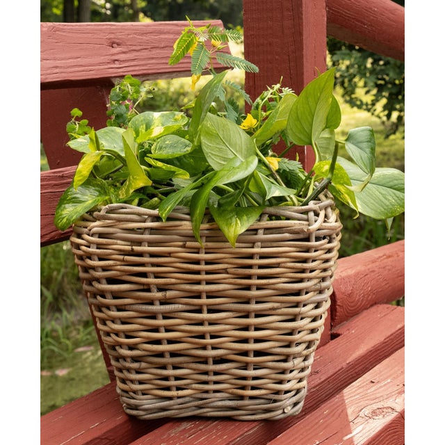 2020s Artifacts Rattan Square Tapered Planter with Black Plastic Insert, Natural, 11.5" For Sale - Image 5 of 10