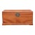 Vintage Beijing Camphor Trunk For Sale