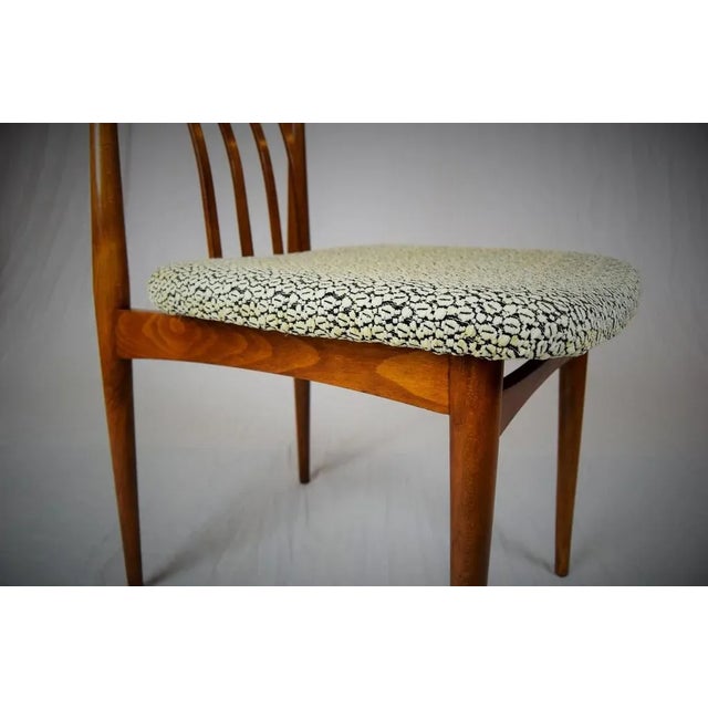 Wood Czechoslovakian Upholstered Dining Chairs, 1960s, Set of 4 For Sale - Image 7 of 11