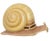1980s Rare Sergio Bustamante Signed/Numbered Snail Sculpture For Sale - Image 5 of 6