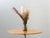 This original usm kitos round table combines functional swiss design with high-quality craftsmanship. The round, beech-...