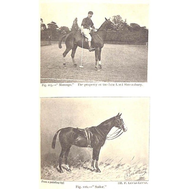"Modern Polo" Miller, Lieut. Colonel e.d., c.b.e., d.s.o. For Sale - Image 4 of 12