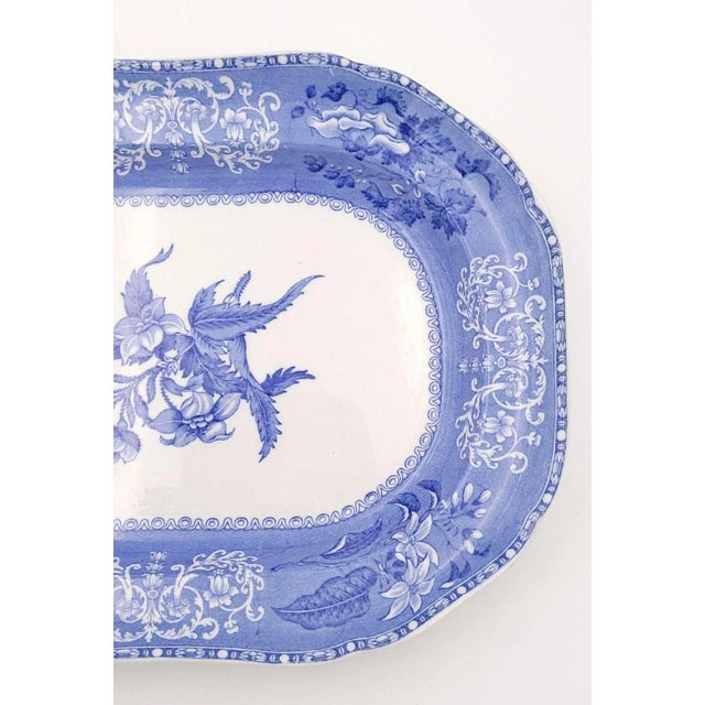 Spode "Camilla" Pattern Platter, England Circa 1920 For Sale - Image 4 of 6