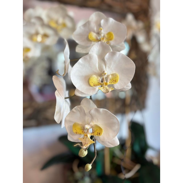Wood White Orchid Succulent Moss Faux Plant Arrangement For Sale - Image 7 of 9
