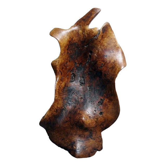 Large Bowl in Dark Raw Wood, 1950s For Sale