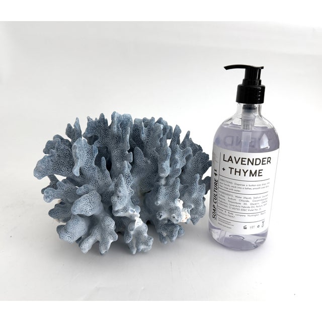 Natural Blue Coral Specimen For Sale In Los Angeles - Image 6 of 7