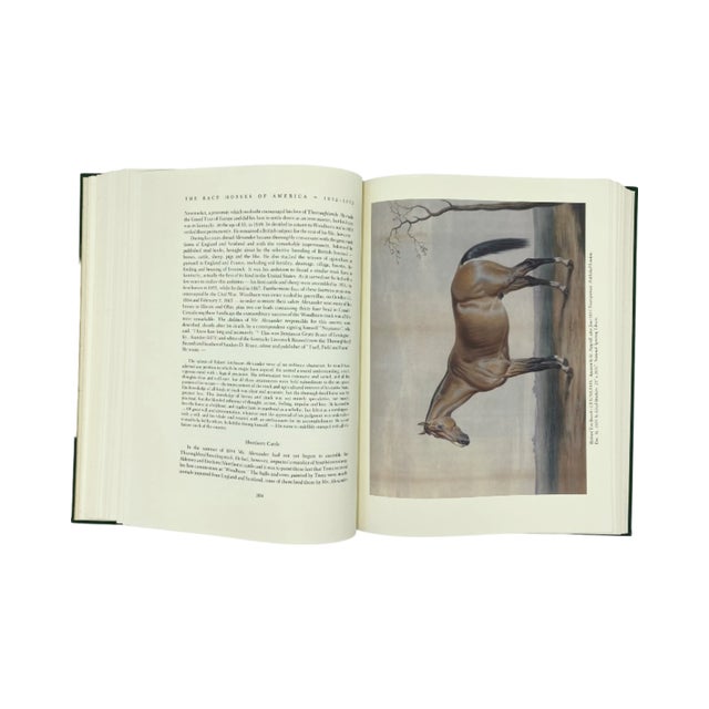 The Race Horses of America 1832-1872 by Edward Troye Book Equestrian For Sale - Image 11 of 12