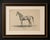 Title: antique arabian horse lithograph “burnu” by august jäger, 1846 : a refined and highly collectible antique...