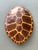 Vintage Monumental Faux Tortoise Shell For Sale - Image 11 of 13