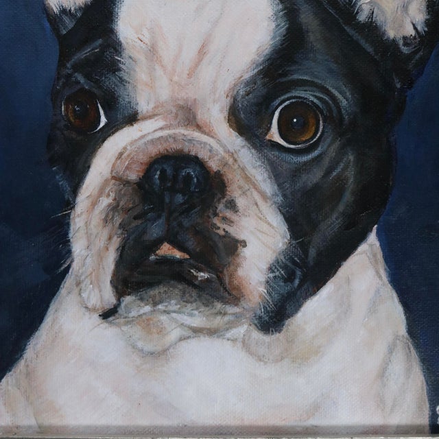 Black Boston Terrier Dog Portrait Oil Painting “Henry” Signed For Sale - Image 8 of 14