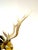 Gold Monumental Sarreid Brass Deer Mount with Removable Antlers, Spain, 1970s For Sale - Image 8 of 17