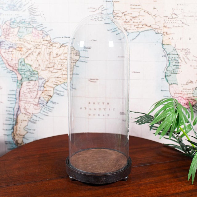 This is a tall antique taxidermy dome. An English, glass and ebonised mahogany collector’s display or ornamental showcase,...