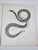 Mid 19th Century Us Pacifc Railroad Snakes Lithograph Book Plates - Set of 3 For Sale - Image 4 of 6