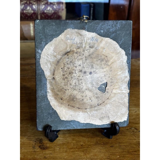 Georgian Framed Grand Tour Portrait, 1819 For Sale - Image 5 of 10