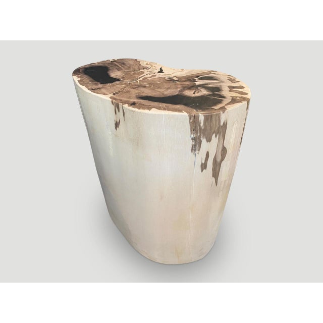 Andrianna Shamaris High Quality Exquisite Petrified Wood Side Table For Sale - Image 16 of 18