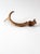 Vintage Natural Deer Antler For Sale - Image 9 of 13