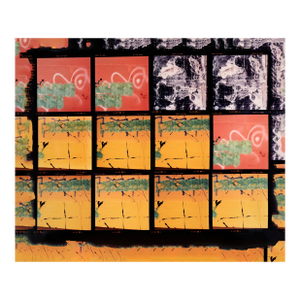 12 Photos (Magenta and Yellow) - Large Scale Textural Photographs by Bill Clark