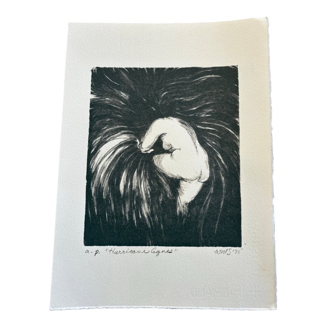 Vintage 1975 Artist’s Proof Etching “Hurricane Agnes” – Signed WMS For Sale