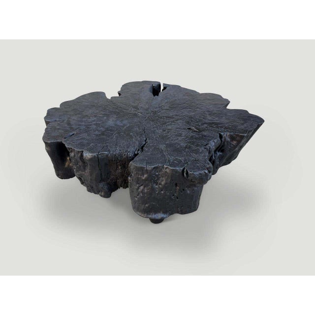 Andrianna Shamaris Charred Mango Wood Coffee Table, Organic Modern Design For Sale - Image 4 of 6