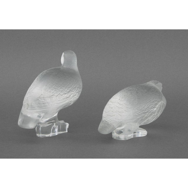 Lalique Crystal "Perdix" Sculptures, 4 For Sale - Image 12 of 15