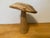 Handmade Carved Hardwood Mushroom For Sale - Image 6 of 7
