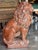 Terra cotta figure of a lion seated upright on a rectangular plinth base, modeled with a full flowing mane worked in deep...