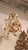 1920s French Orange and Clear Crystal Chandelier For Sale - Image 9 of 12