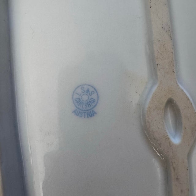 Late 19th Century Antique L. Straus & Sons (LS&S)Porcelain Fish Serving Platter Made in Carlsbad Austria For Sale - Image 5 of 6