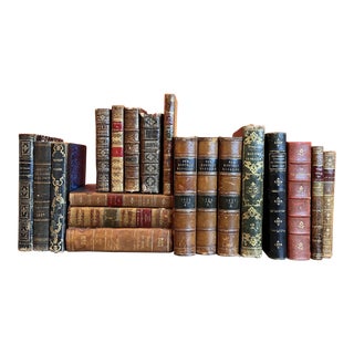 Set of 19 18th & 19th Century French Leather Bound Book Collection For Sale