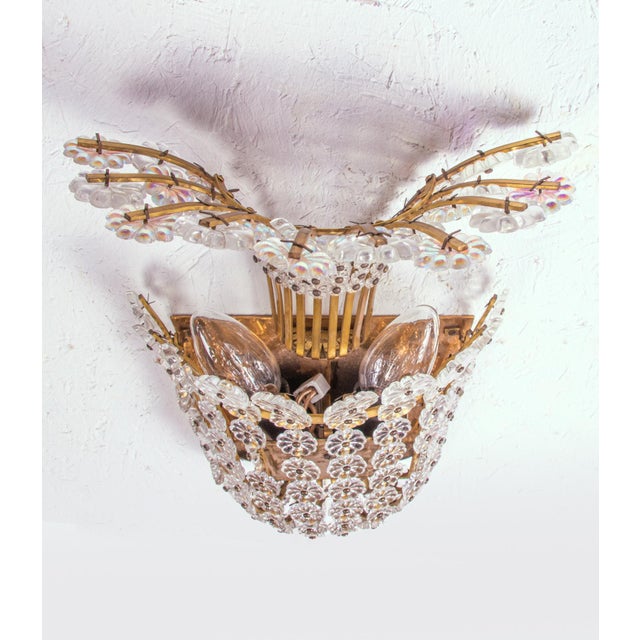 Gold Austrian Wall Sconces with Crystal Flowers & Brass by Emil Stejnar for Rupert Nikoll, Vienna, 1950s, Set of 2 For Sale - Image 8 of 10