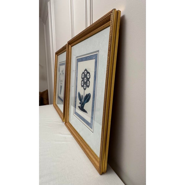Late 20th Century Traditional Victorian Blue Floral Botanical Gold Framed Reproduction Prints, a Pair For Sale In Houston - Image 6 of 17