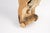 19th Century Antique Architectural Hand-Carved Classical Revival Style Corbel For Sale - Image 5 of 13